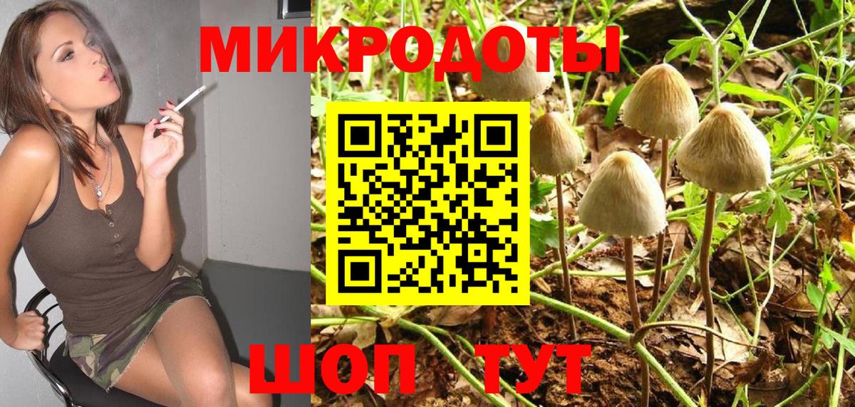 Гатчина  Псилоцибиновые грибы MAGIC MUSHROOMS  Вход с VPN 